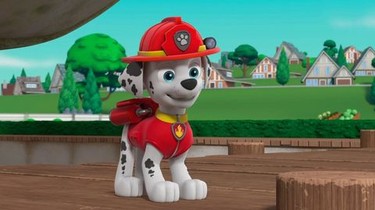 Paw Patrol Season 8 รีวิวหนัง